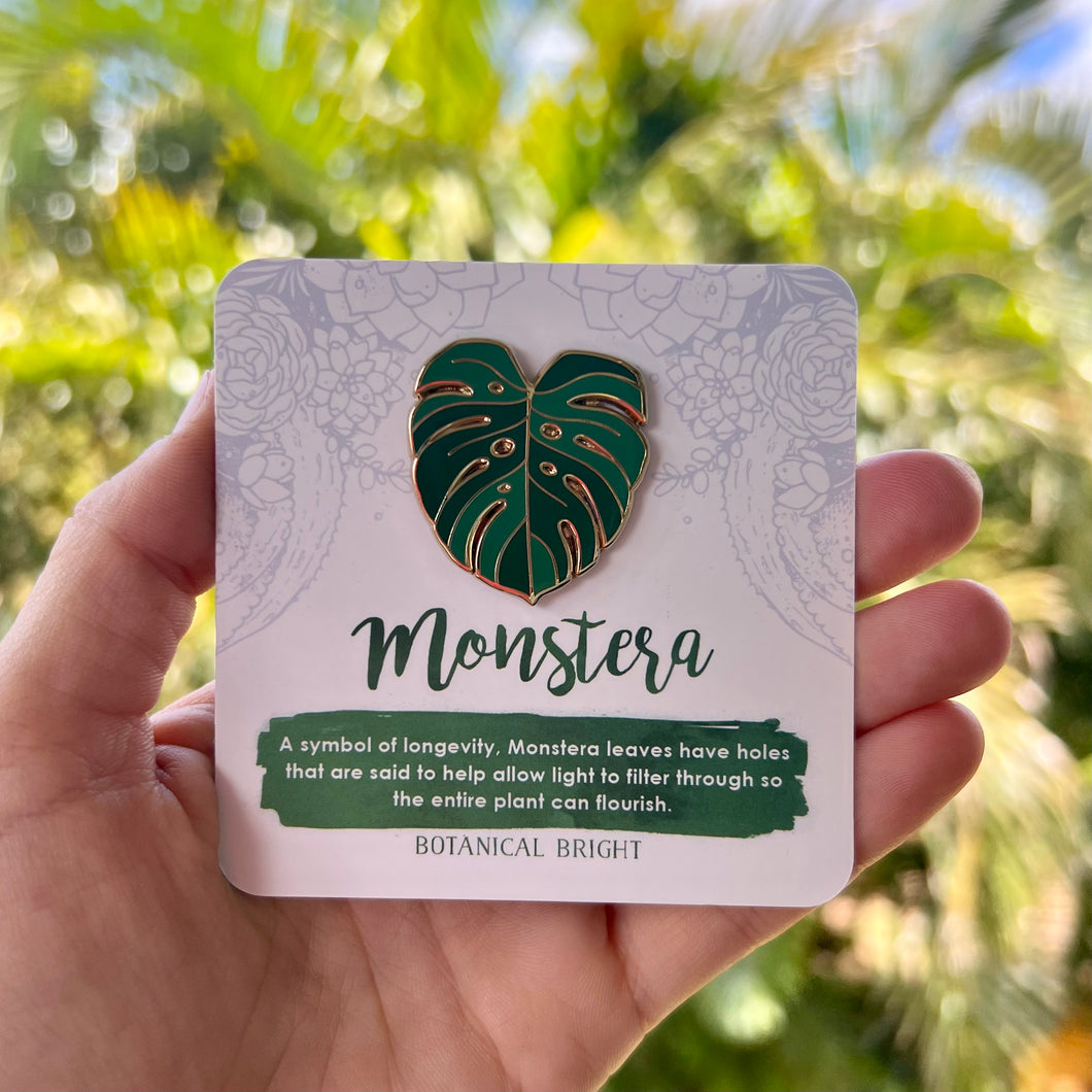 Pin - Monstera