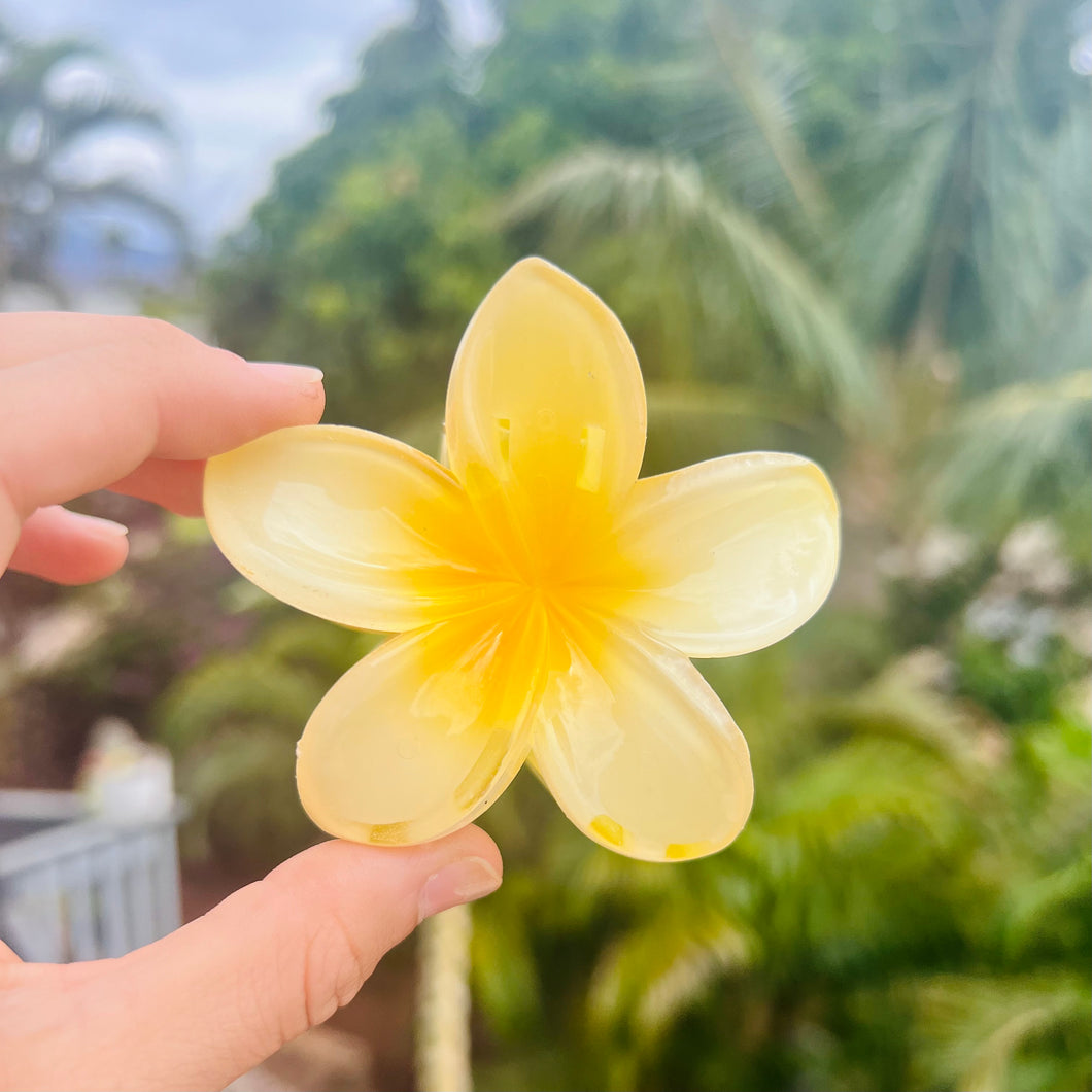 Plumeria Hair clip