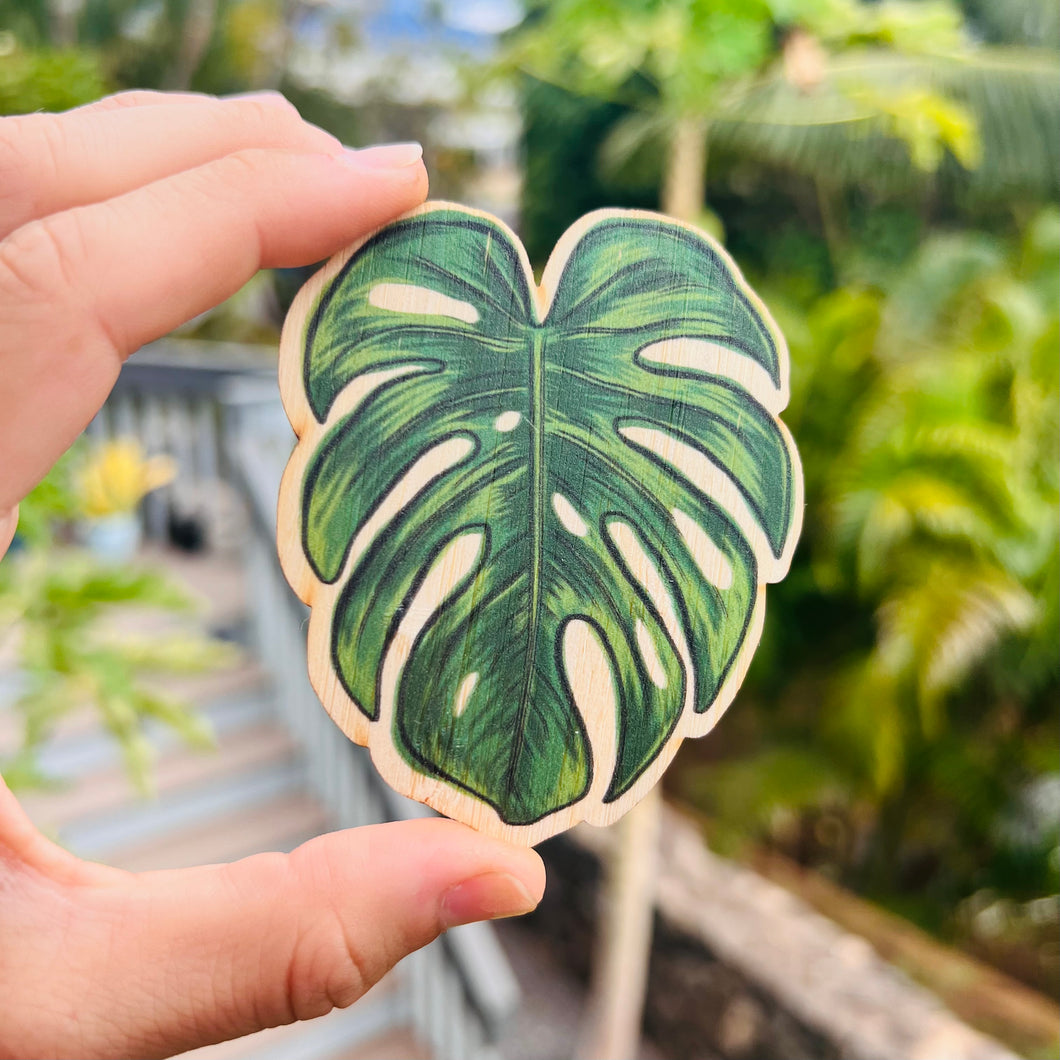 Bamboo sticker - Monstera