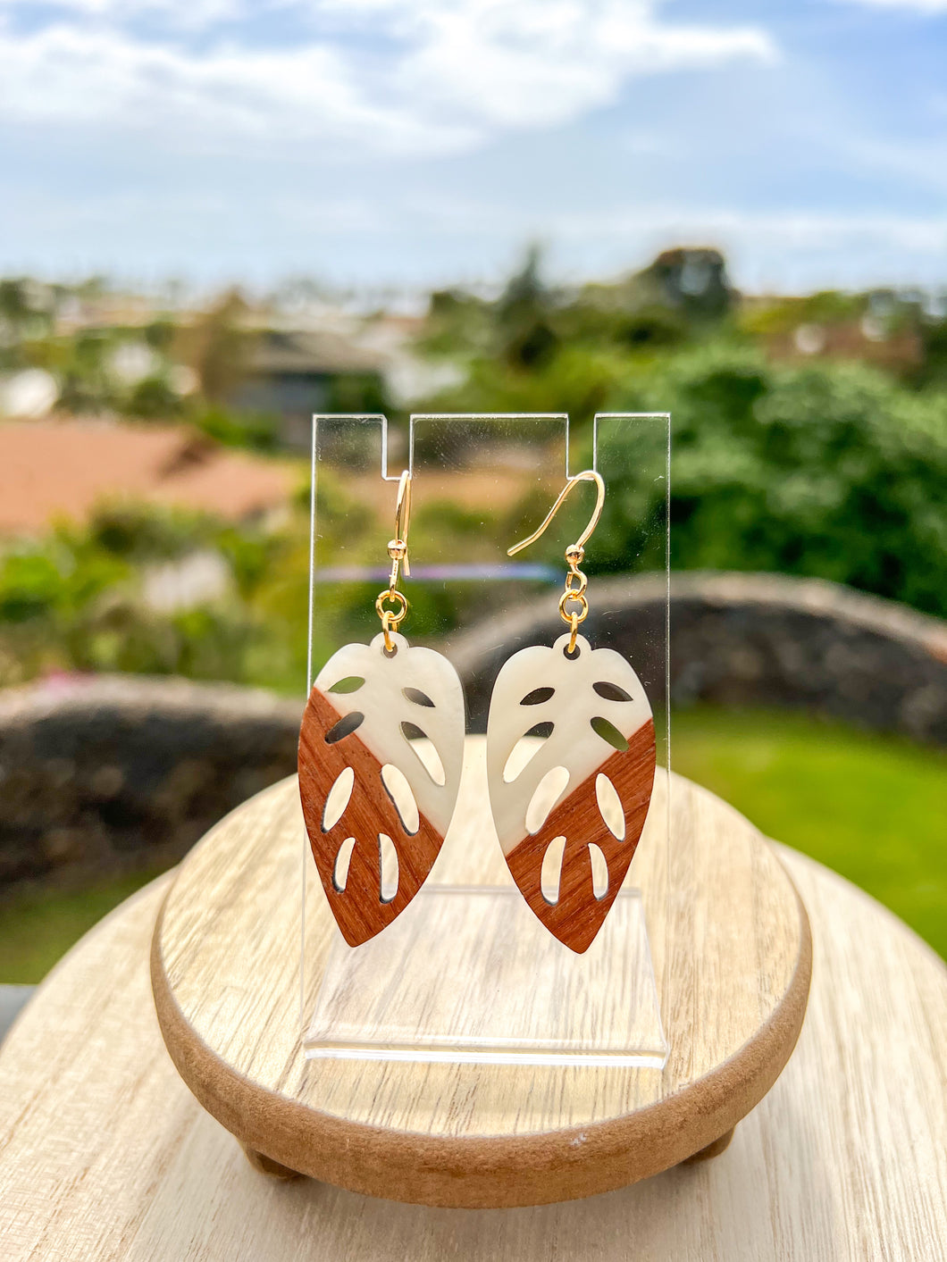 Monstera Adansonii earrings